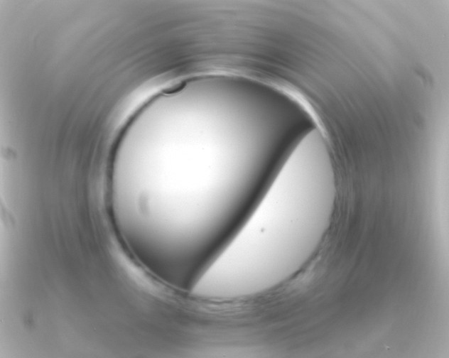 X0000091341147200708101015