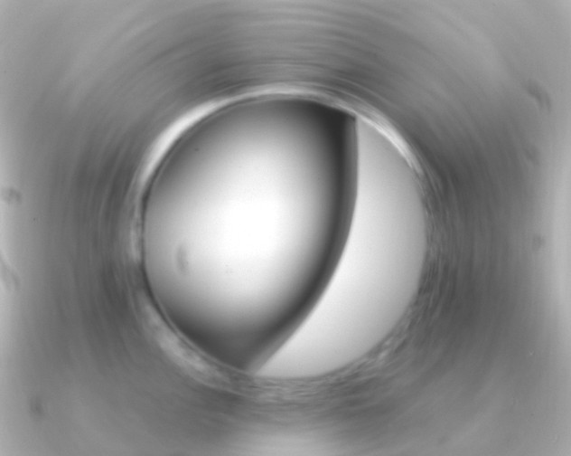 X0000091341148200708101015