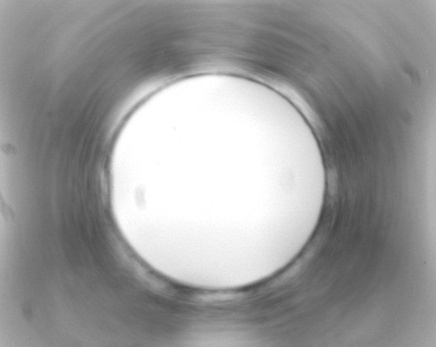 X0000091341150200708101015