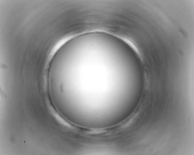 X0000091341151200708101015