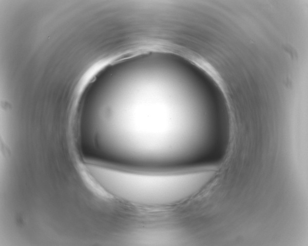 X0000091341152200708101015