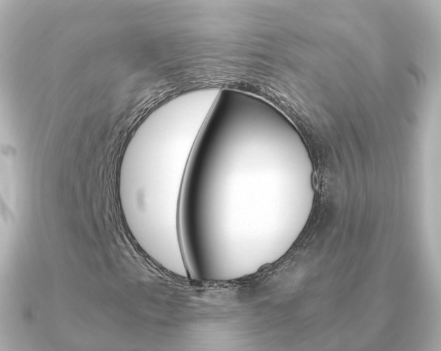 X0000091341153200708101014