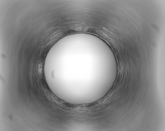X0000091341154200708101014