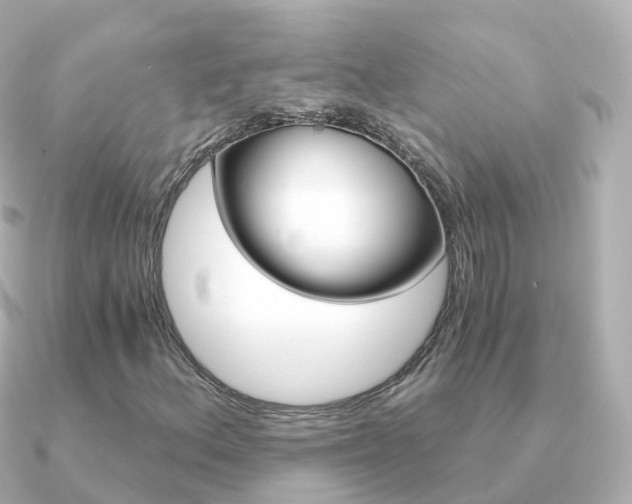 X0000091341156200708101014