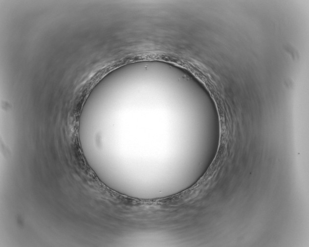 X0000091341157200708101014