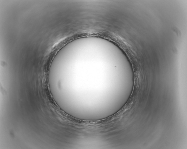 X0000091341158200708101014