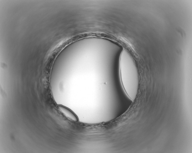 X0000091341159200708101014