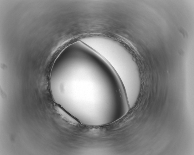 X0000091341160200708101014