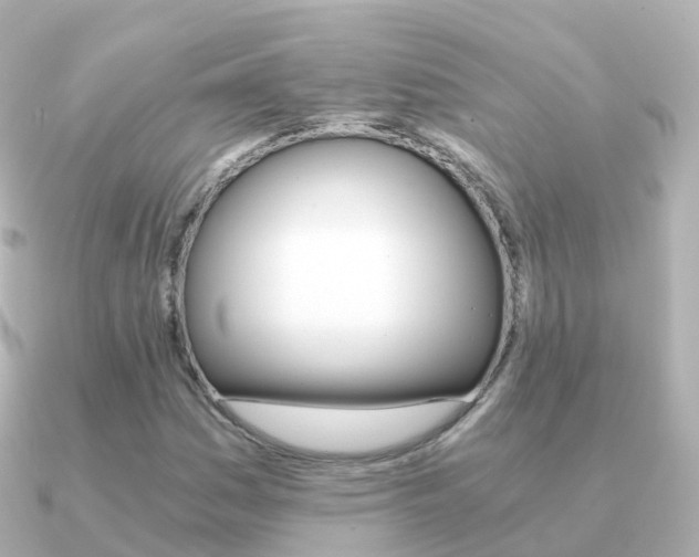 X0000091341161200708101014
