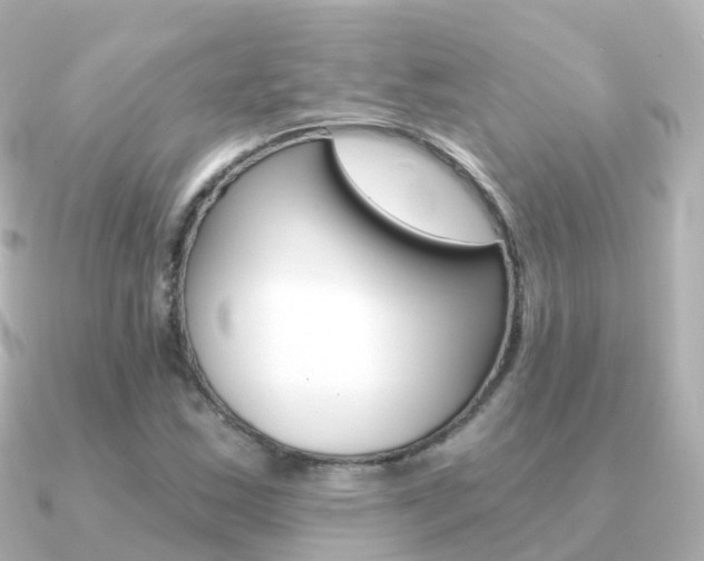 X0000091341163200708101014
