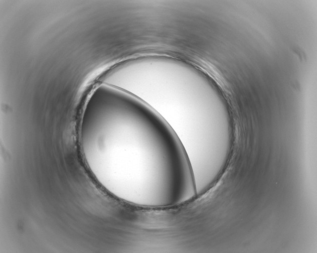 X0000091341164200708101014