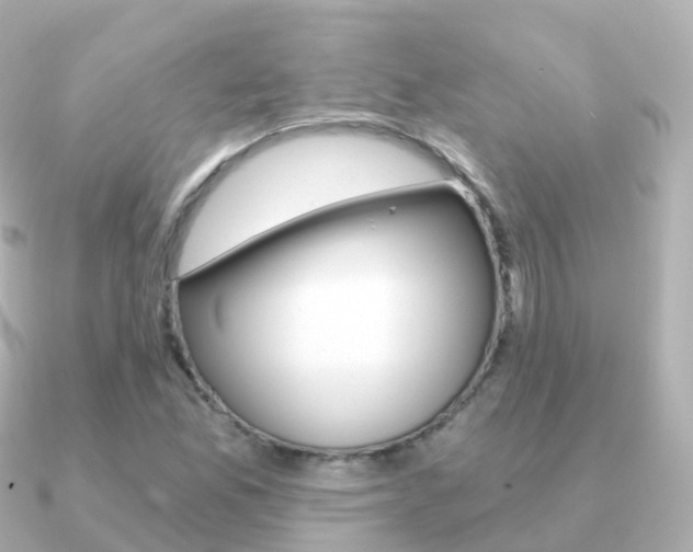 X0000091341165200708101014