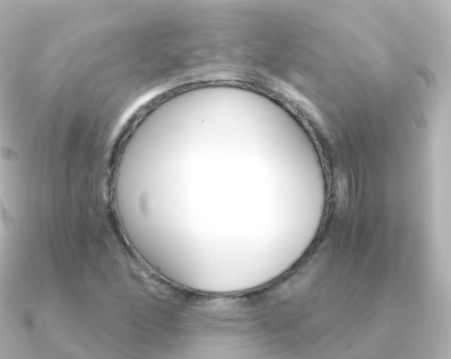 X0000091341166200708101014