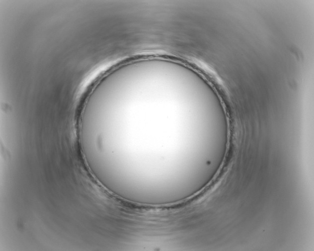 X0000091341167200708101014