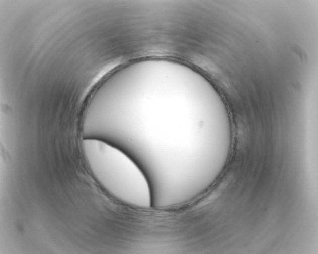 X0000091341170200708101014