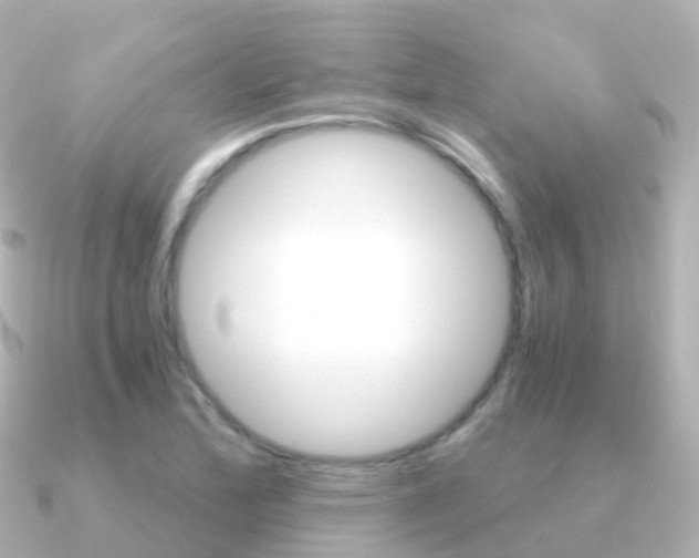 X0000091341172200708101014