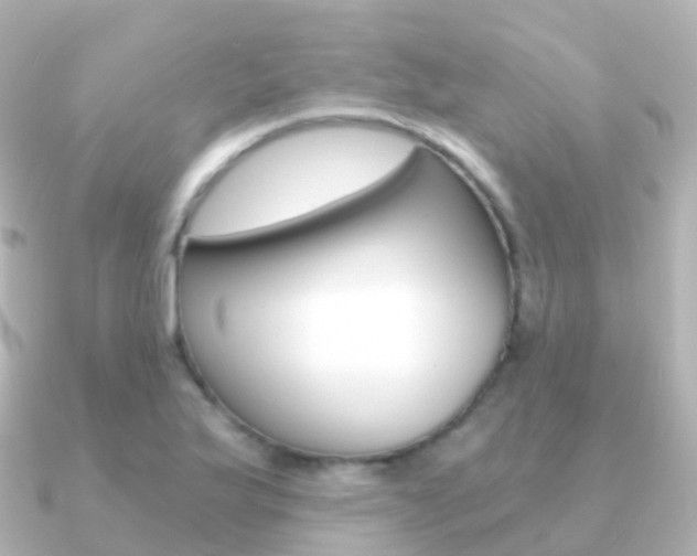 X0000091341175200708101014
