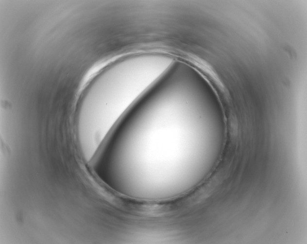 X0000091341176200708101014