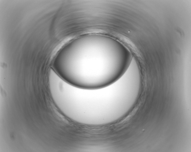 X0000091341177200708101014