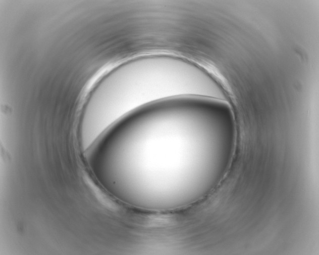 X0000091341181200708101014