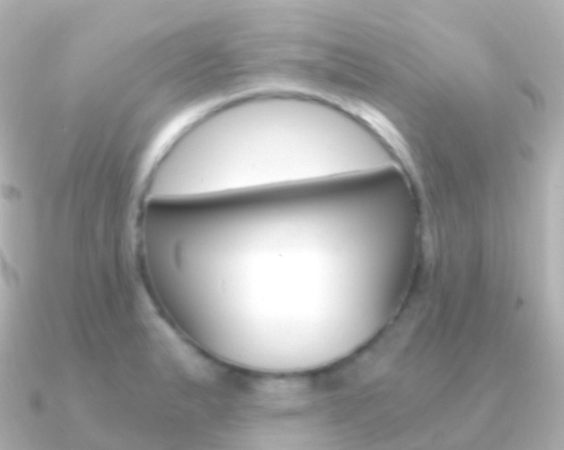 X0000091341183200708101014