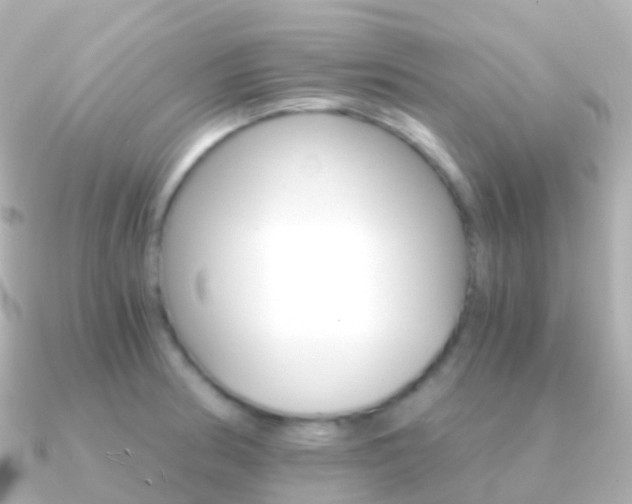 X0000091341186200708101014