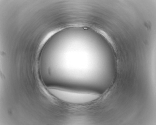 X0000091341187200708101014