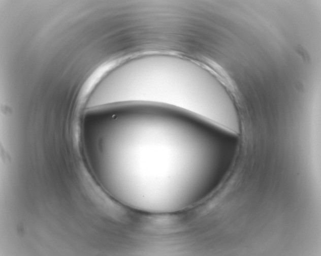 X0000091341188200708101014