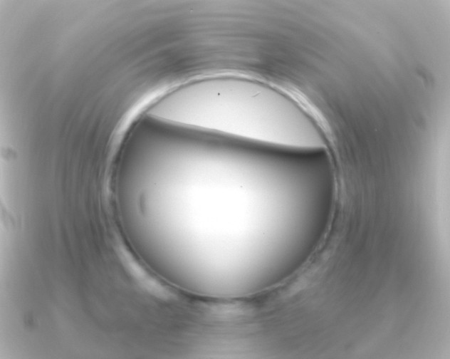 X0000091341189200708101014