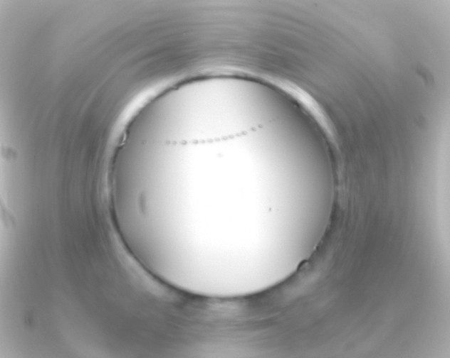 X0000091341191200708101014