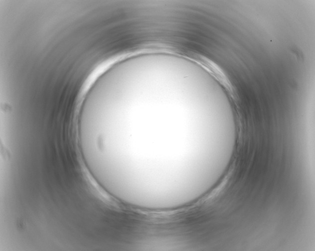 X0000091341192200708101014
