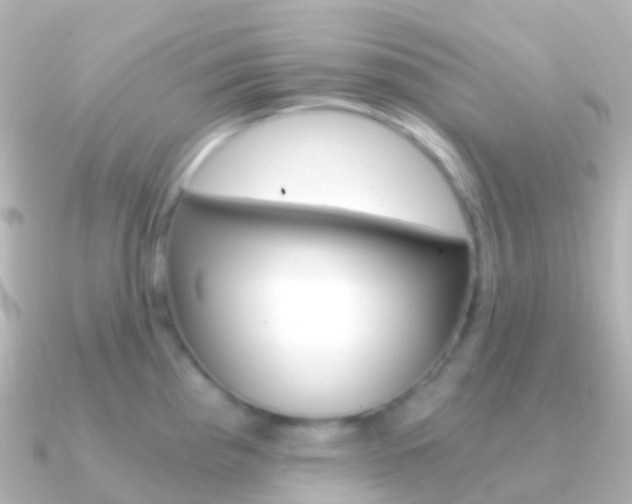 X0000091341193200708101014