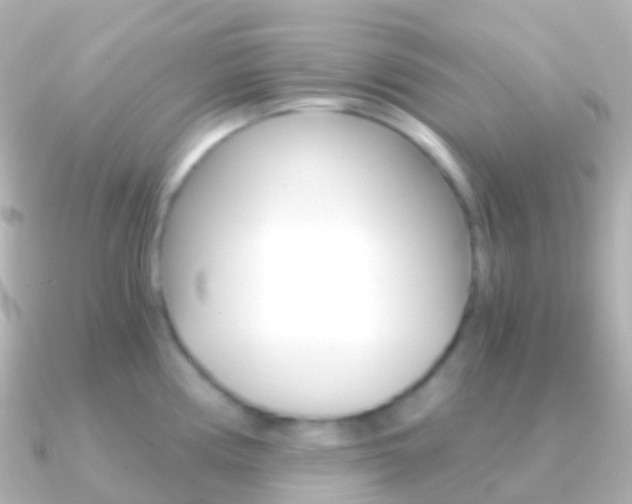 X0000091341194200708101014