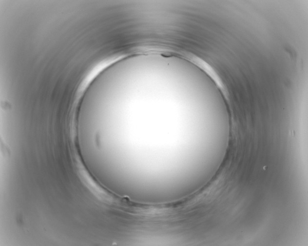 X0000091341195200708101014