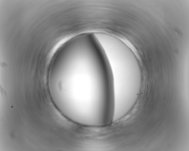 X0000091341197200708101014