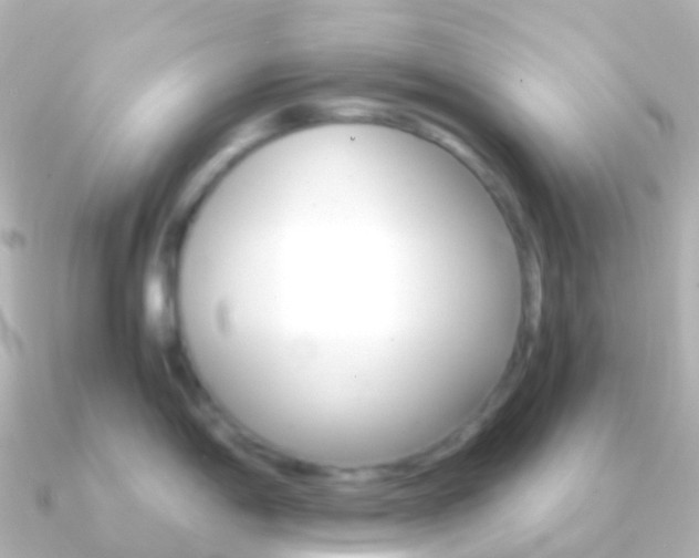 X0000091341198200708101014