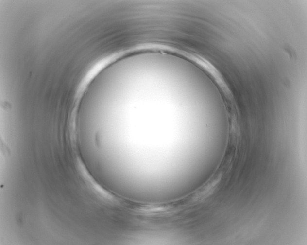 X0000091341199200708101014