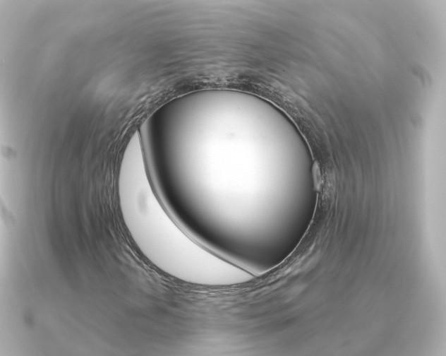 X0000091341202200708101013
