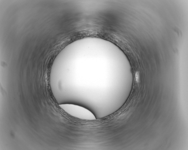 X0000091341203200708101013