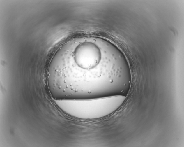 X0000091341205200708101013