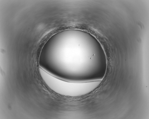 X0000091341206200708101013