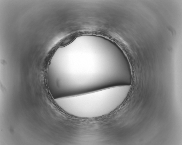 X0000091341208200708101013