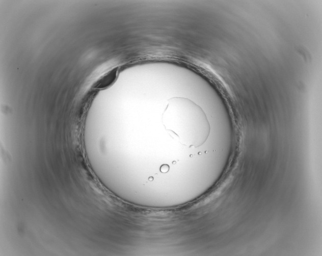 X0000091341211200708101013