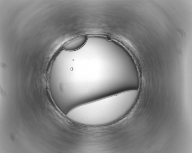 X0000091341212200708101013
