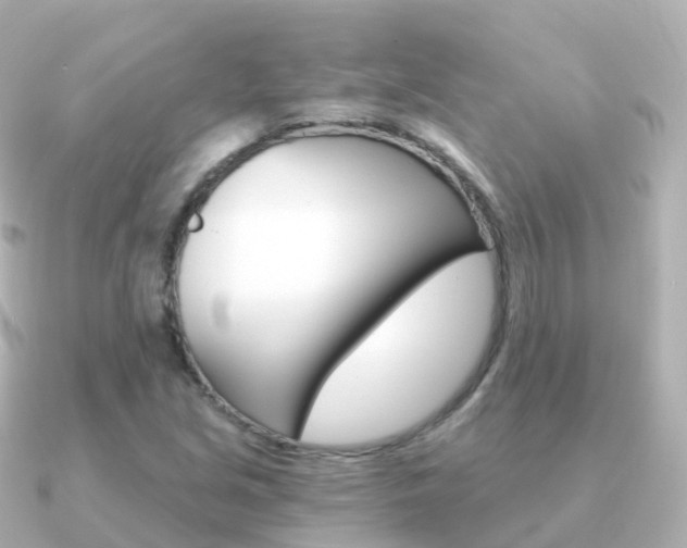 X0000091341213200708101013