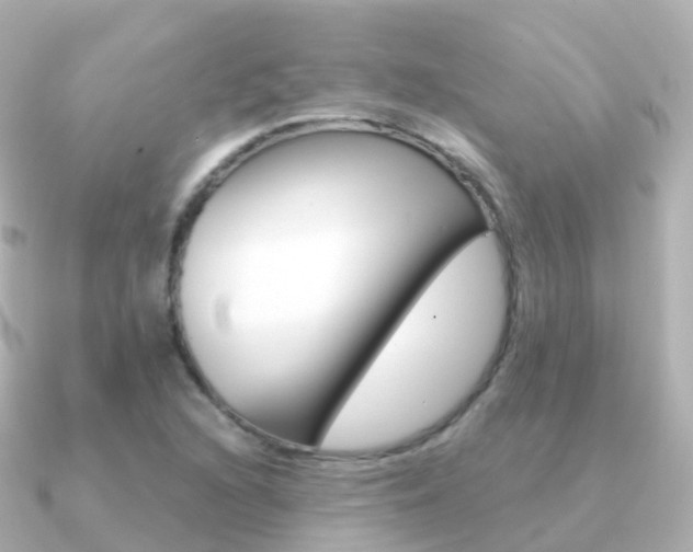X0000091341216200708101013