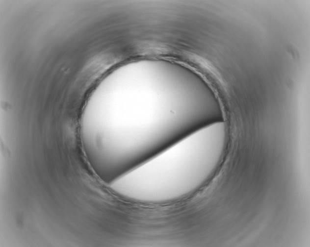 X0000091341217200708101013
