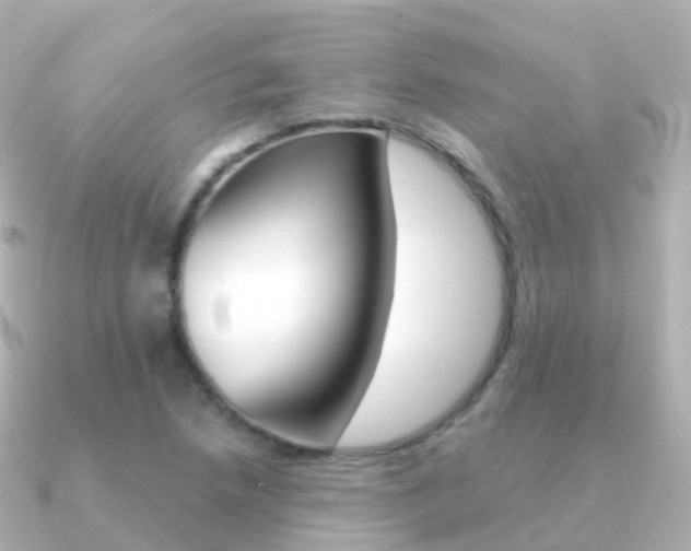 X0000091341218200708101013