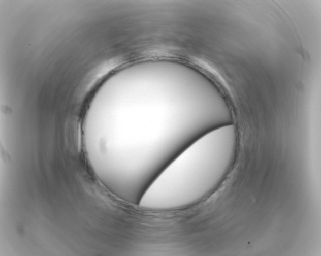 X0000091341219200708101013