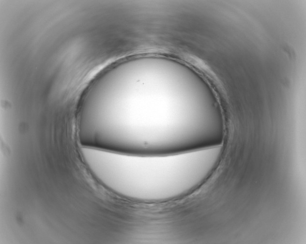 X0000091341220200708101013